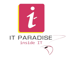 IT Paradise logo