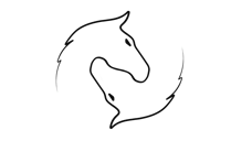 equimovex logo