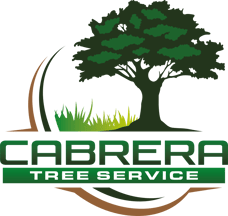 Cabrera Tree services logo