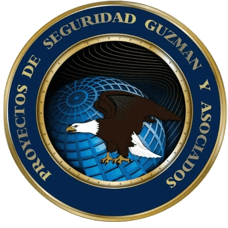 PSP SEGURIDAD PRIVADA logo