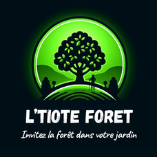 LTF logo