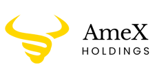 Amex Holdings logo