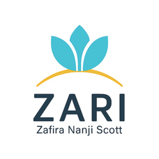 Zari Insights logo
