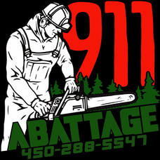 911 Abattage logo