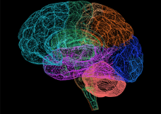 le HPI un cerveau hyper cablé et connecté