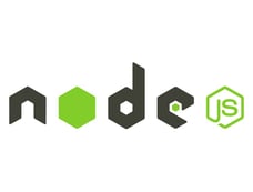 expertise in node-js technology