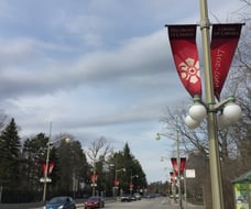 the 50th Order of Canada Anniversary flags displayed on Sussex Drive