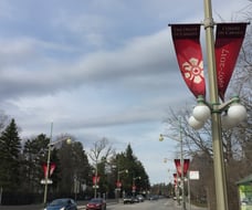 the 50th Order of Canada Anniversary flags displayed on Sussex Drive
