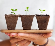 SOMEO Solutions - Valeurs et engagement