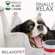 RelaxoPet PRO Animal Relaxation Trainer