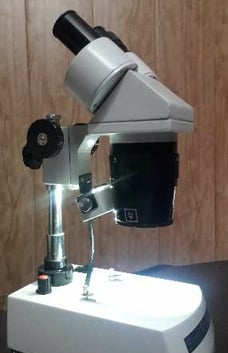 #STEREO MICROSCOPE