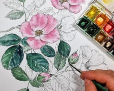 persona che dipinge dei fiori ad acquerello
