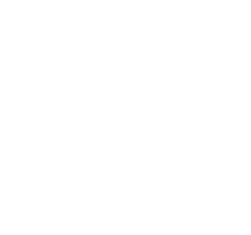 BSL Tours Belfast logo