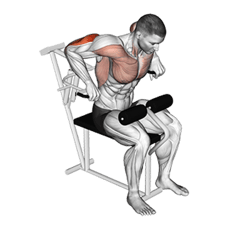 triceps maquina