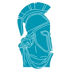 3triad logo