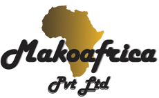 MakoAfrica logo