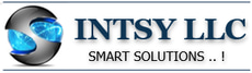 INTSY LLC logo