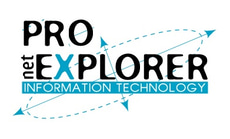 Pro NetExplorer logo