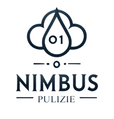 NIMBUS01 logo