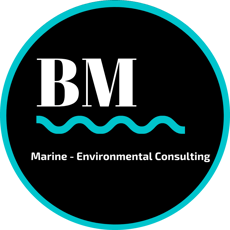 BM CONSULTING logo