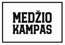 Romo dirbtuvės logo