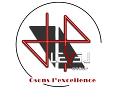 LEVELGROUP sarlu logo