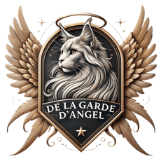 DE LA GARDE D'ANGEL logo