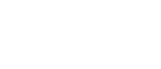 Perspective Project logo