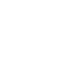 nextlevel auto concierge logo