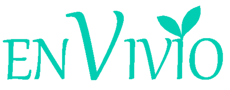 Envivio logo