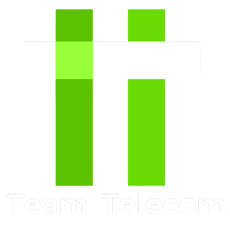 Team Telecom logo