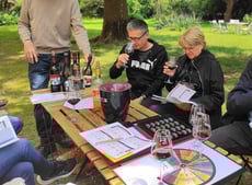 Dégustation des vins