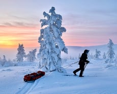 Ski de randonnée nordique et pulka en laponie finlandaise dans le parc Urho Kekkonen