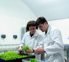 Scientists in the laboratory examining plants