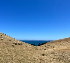 Wild South Coast Way, South Australia