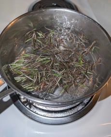 Rosemary water in pot on stove