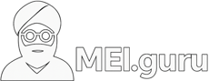 MEI Guru Ferramentas para Micro Empreendedores Individuais
