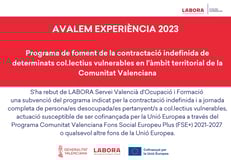 ayuda concedida Avalem Experiencia