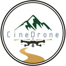 Logo CineDrone