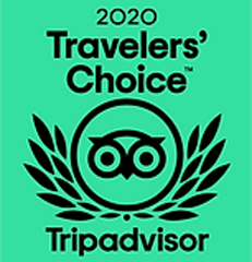 2020 TripAdvisor-Travelers' Choice