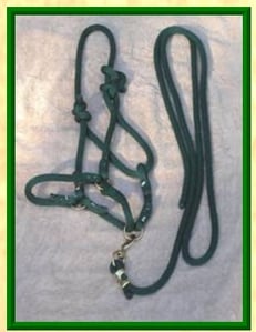 horse halter