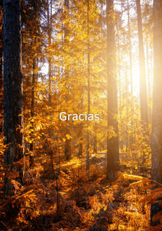 Fondo de pantalla gratitud. 