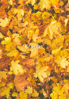 Fondo de pantalla gratitud. 