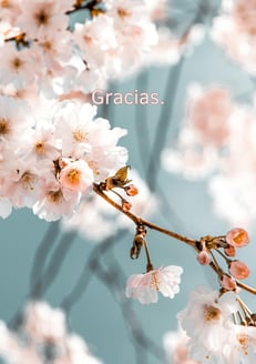 Fondo de pantalla gratitud. 