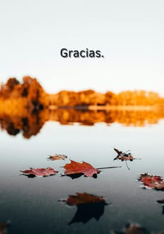 Fondo de pantalla gratitud. 