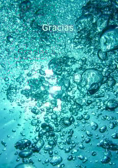 Fondo de pantalla gratitud. 