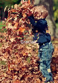 Fondo de pantalla gratitud. 