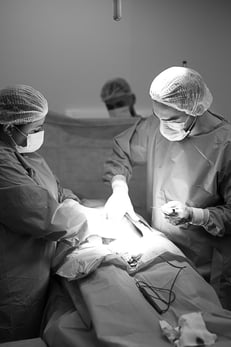Ensaio Fotográfico Taty Pacheco Parto