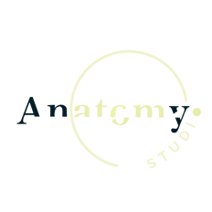 Anatomy Made Studio logo