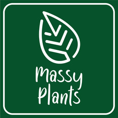 masyplants logo